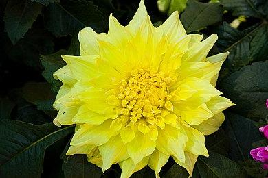 为核电站料理后事《切尔诺贝利清算人》6月6日发售